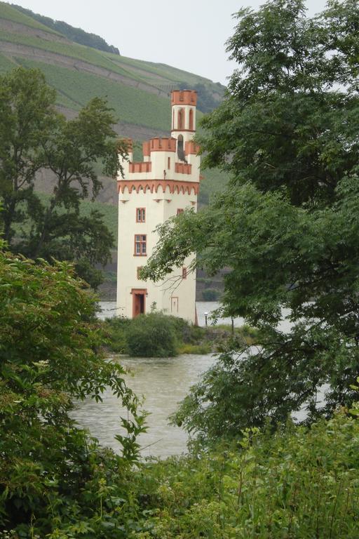 Hotel Gasthof Schuster Und Gaestehaus Rüdesheim am Rhein Exteriör bild