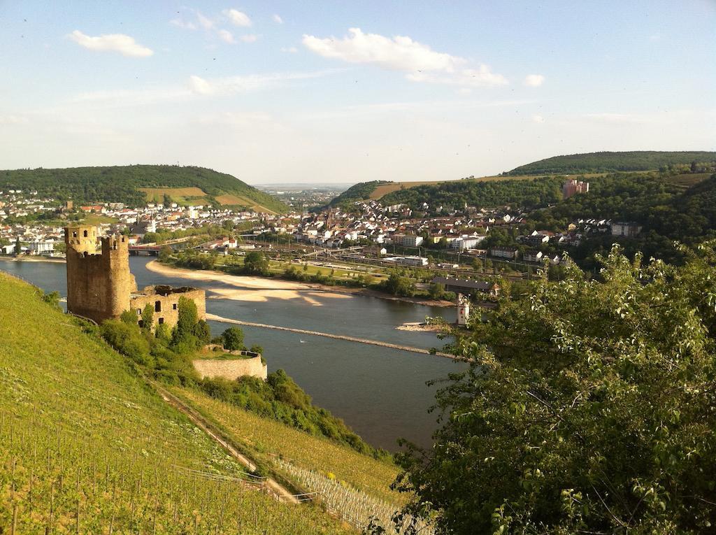 Hotel Gasthof Schuster Und Gaestehaus Rüdesheim am Rhein Exteriör bild